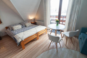 Apartament Stasikówka u Czernikow